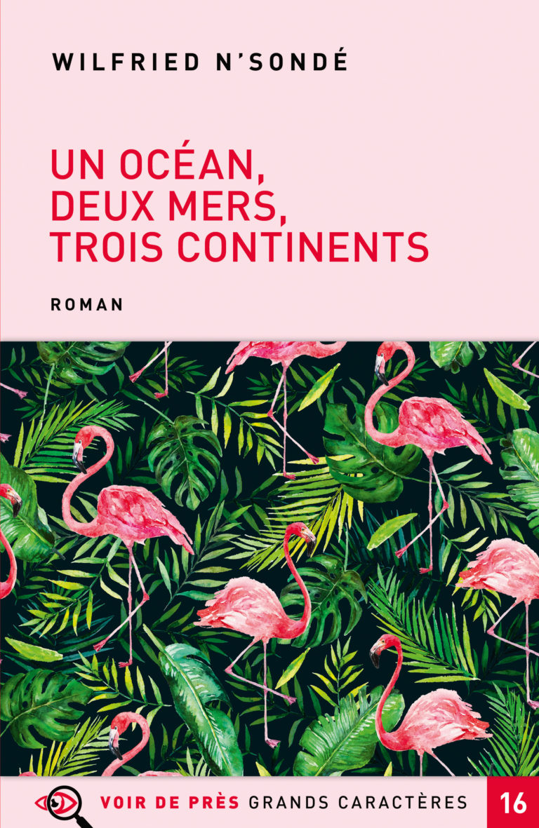 Couverture de l'ouvrage Un océan, deux mers, trois continents