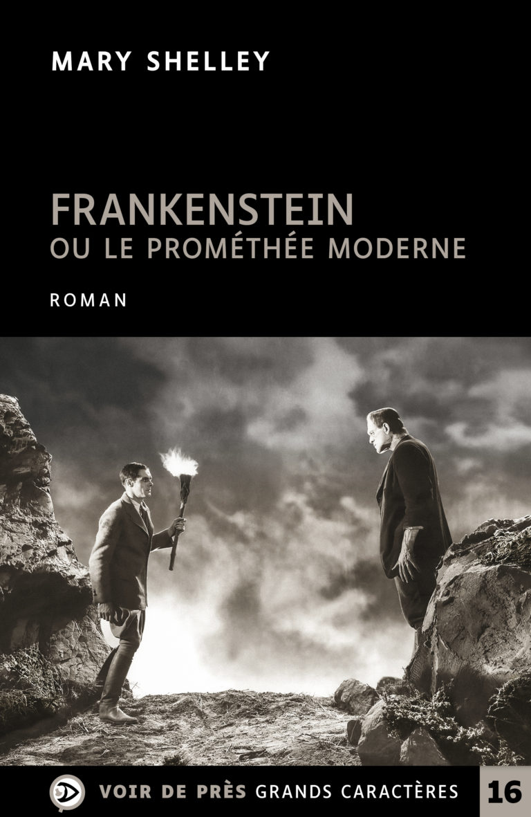 Couverture de l'ouvrage Frankenstein